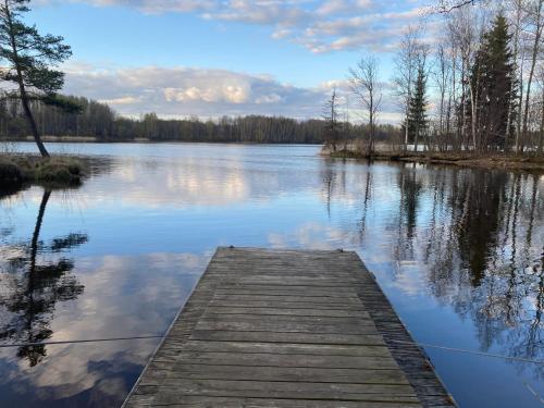 a wooden dock on a lake with trees and the water at Piešupīte in Staburags