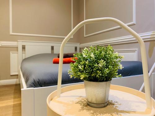 une table avec une plante en pot à côté d'un lit dans l'établissement Zola Studio fenêtre aveugle, à Aix-en-Provence