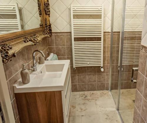 ein Bad mit einem Waschbecken, einem Spiegel und einer Dusche in der Unterkunft Appartement Villa Eva Rosa in Wijk aan Zee