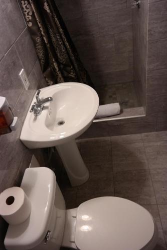 a bathroom with a white toilet and a sink at The Beach Waikiki Boutique Hostel in Honolulu