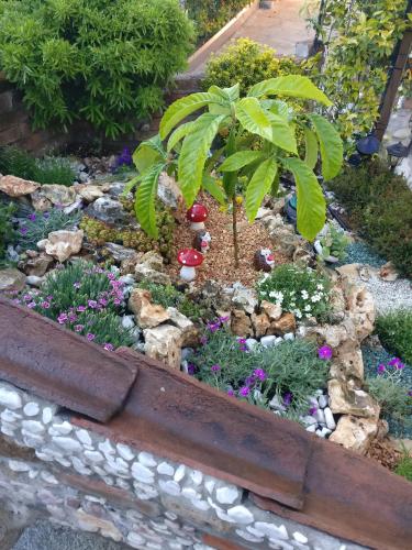 Κήπος έξω από το Caicai Bed And Breakfast