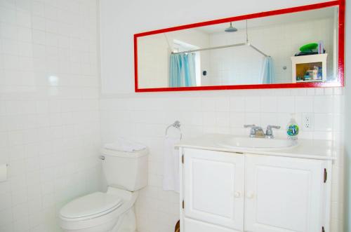 a bathroom with a toilet and a sink and a mirror at Ocean View Cottage - At Orange Hill in Nassau