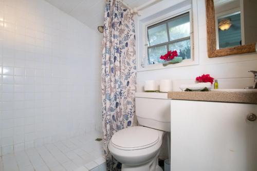a white bathroom with a toilet and a window at Garden Cottage - At Orange Hill in Nassau