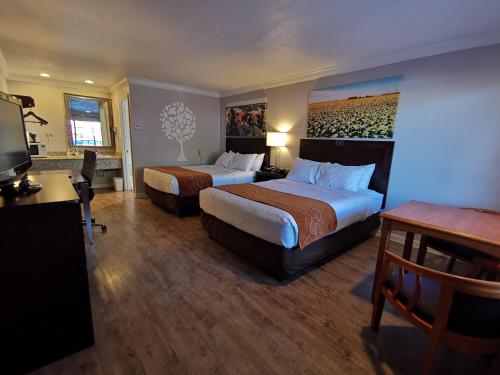 Journey Inn – Photos 4