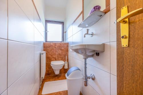 a small bathroom with a sink and a toilet at Landhaus Fingerhof in Flachau