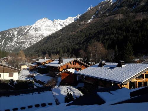 a snow covered village with a mountain in the background at Le Chamoniard Volant in Chamonix-Mont-Blanc
