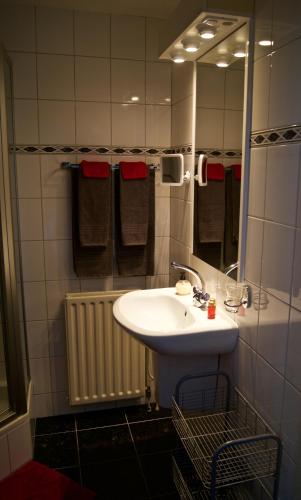 a bathroom with a white sink and a mirror at The Studio Guesthouse in Volendam