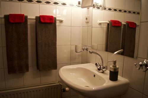 a bathroom with a sink and a mirror at The Studio Guesthouse in Volendam