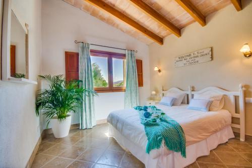 Ideal Property Mallorca - Ses Poves