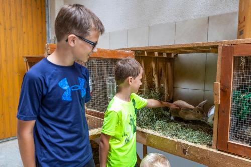two boys looking at a rabbit in a cage at Landhaus Fingerhof in Flachau