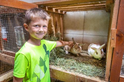 a young boy standing in a cage with two rabbits at Landhaus Fingerhof in Flachau