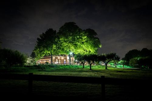 Taman di luar De Os en het Paard