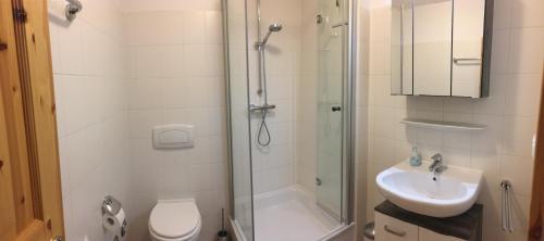 a bathroom with a shower and a toilet and a sink at Ferienwohnung Möwe in Glowe