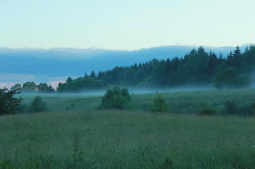 a foggy field with trees in the background at Mazury Garbate - Dom I przy Cisowym Jarze in Kowale Oleckie