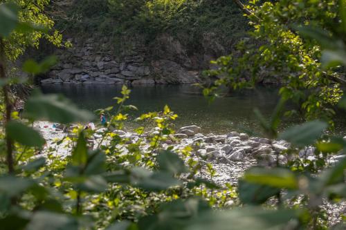 a river with rocks in the water and plants at Hotel al Ponte Antico in Intragna