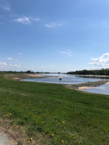 a view of a river from a grass field at Hotel Alte Fischerkate in Mödlich