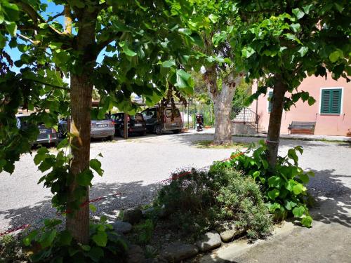a group of trees in a parking lot with cars at Appartamenti Lucry in Procchio