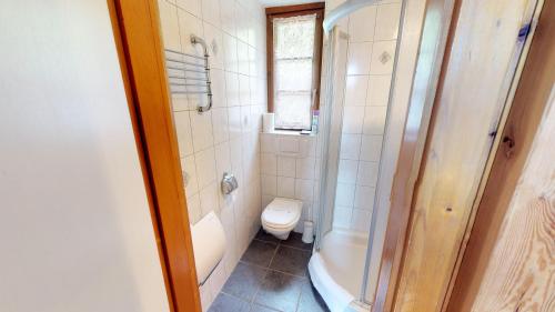 a small bathroom with a toilet and a tub at Tschuggen 61 in Blatten bei Naters