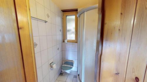 ブラッテン・バイ・ナータースにあるTschuggen 59の小さなバスルーム(トイレ、窓付)が備わります。