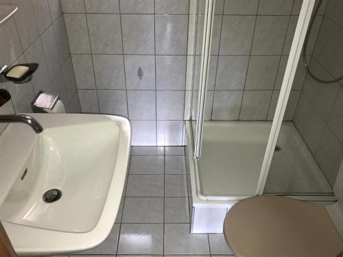 uma casa de banho com um chuveiro, um lavatório e um WC. em Tschuggen 58 em Blatten bei Naters
