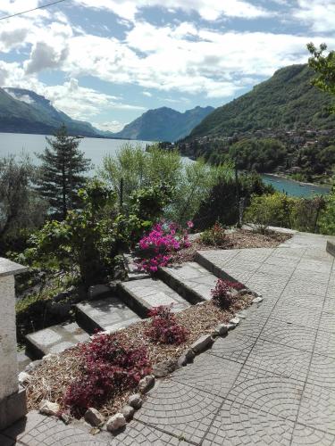 a garden with flowers and a view of a lake at casa indipendente "IL SOLE DELLE GRIGNE" in Bellagio