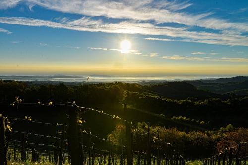 a view of the sun setting over a valley at Weingut & Buschenschank Pölzl in Großklein