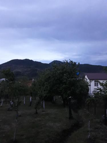 a view of a yard with trees and a house at Victoria in Bagdatʼi