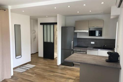 Il comprend une cuisine avec des appareils en acier inoxydable et du parquet. dans l'établissement Spacieux studio entièrement rénové, à Ajaccio