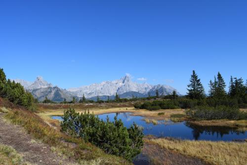 a view of a mountain range with a pond at Fesengut in Annaberg im Lammertal