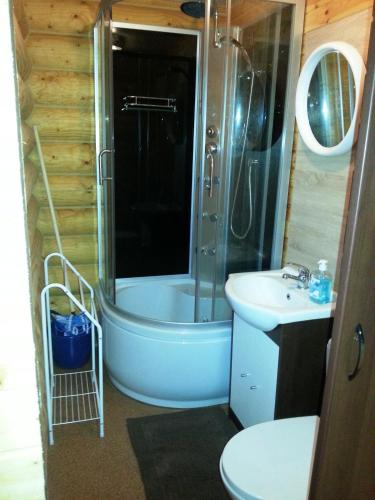 a bathroom with a shower and a sink at Idylla in Chłopy