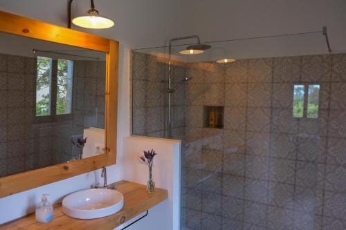 a bathroom with a sink and a shower with a mirror at Cal Germa at Can Campolier in Banyoles