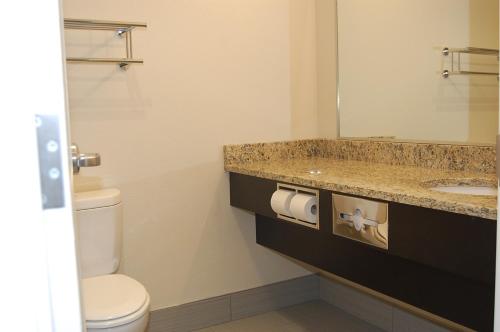 a bathroom with a sink and a toilet and a mirror at Vacation Lodge in Pigeon Forge