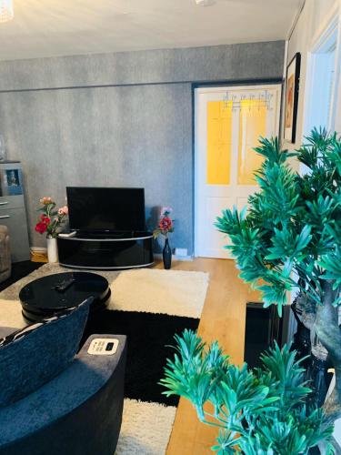 CyCy, Aberdeen, United Kingdom