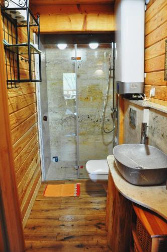 a bathroom with a shower with a sink and a toilet at Krolowo Apartment in Krościenko