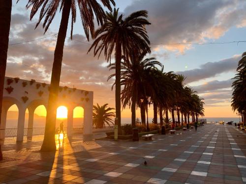 a row of palm trees and a building with the sunset at NerjaRooms in Nerja