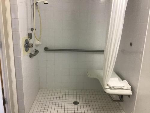 a bathroom with a shower with a toilet and a sink at Anastasia Inn - Saint Augustine in Saint Augustine