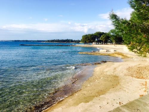 a beach with trees and the water and acean at Apartment Umag Nelly in Umag