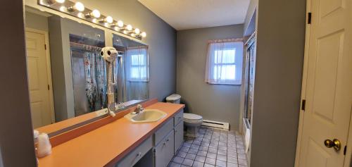 a bathroom with a sink and a mirror and a toilet at Pinebrook Motel in Lake George