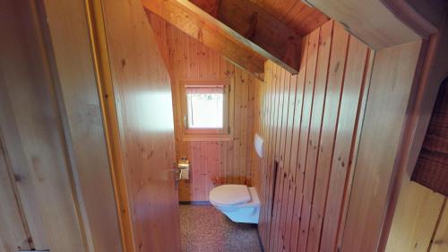 baño pequeño con aseo y ventana en Tschuggen 24 en Blatten bei Naters