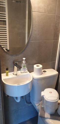 a bathroom with a sink and a toilet and a mirror at Alexia's Apartments in Rio