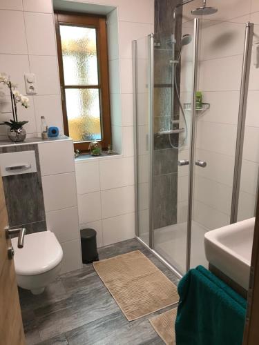 W łazience znajduje się prysznic, toaleta i umywalka. w obiekcie Ferienhaus Großalber w mieście Maria Neustift