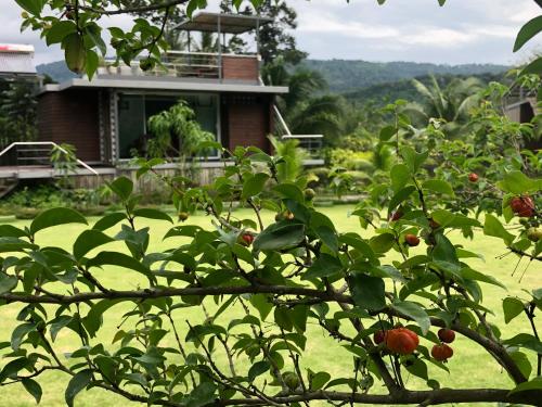 a view of a house from behind a tree at Baan Boom Boxes Eco Friendly Resort in Mae Nam