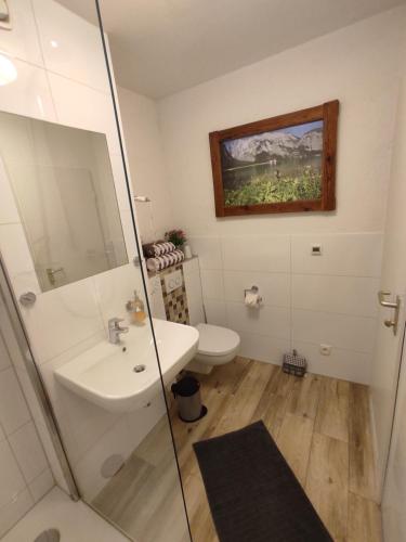 ein Bad mit einem Waschbecken und einem WC in der Unterkunft Apartment Fischerbräuwiese in Bad Reichenhall