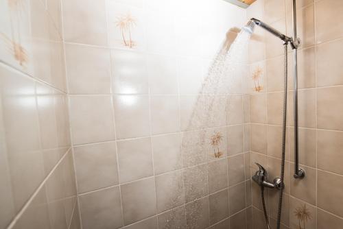 a shower with a shower curtain in a bathroom at FeWo Baron von Münchhausen in Bodenwerder