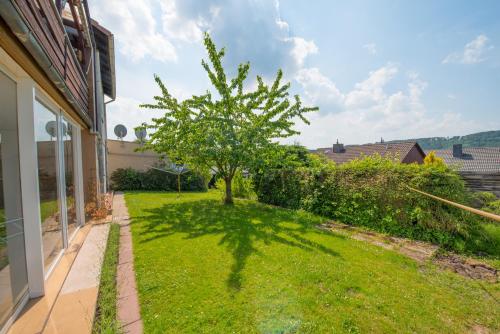 a tree in the yard of a house at FeWo Baron von Münchhausen in Bodenwerder