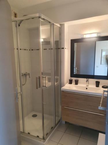 une salle de bain avec une douche en verre et un lavabo dans l'établissement Résidence Les Goélettes, à Saint Cyprien Plage