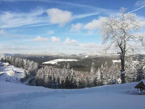 a snow covered hill with a tree and mountains at Chata Wostry in Bílá