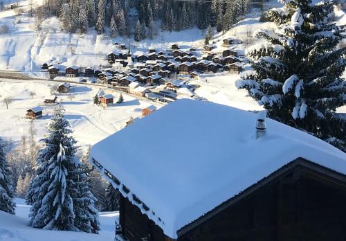 an aerial view of a village covered in snow at Haus Bortis in Niederwald