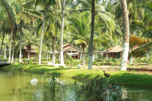 Gallery image of ATULYAM Farm in Palakkad