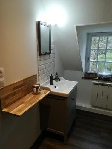 une salle de bain avec un lavabo et un miroir dans l'établissement Lait & Lit, à Triqueville